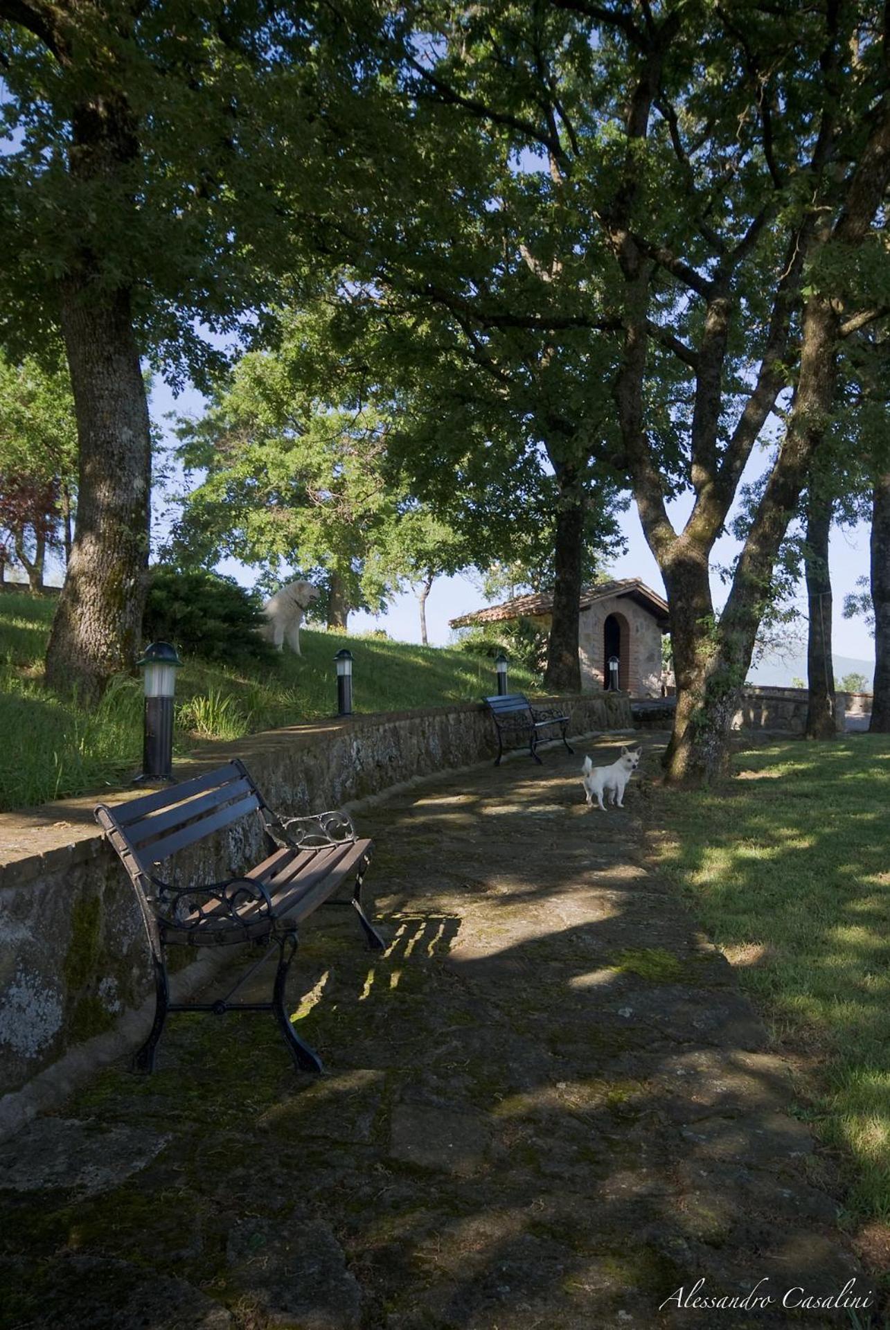 Agriturismo Selvella Radicofani Exterior photo